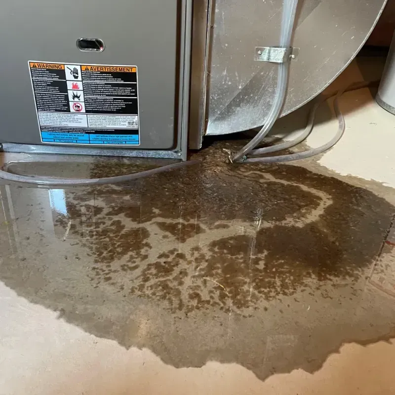 Appliance Leak Cleanup in North Windham, ME